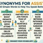 Synonyms for Assist