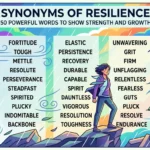 Synonyms of Resilience