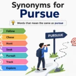 Synonyms for Pursue