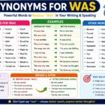Synonyms for Was