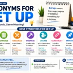 Synonyms for Set Up