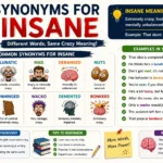 Synonyms for Insane