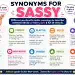 Synonyms for Sassy