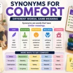 Synonyms for Comfort