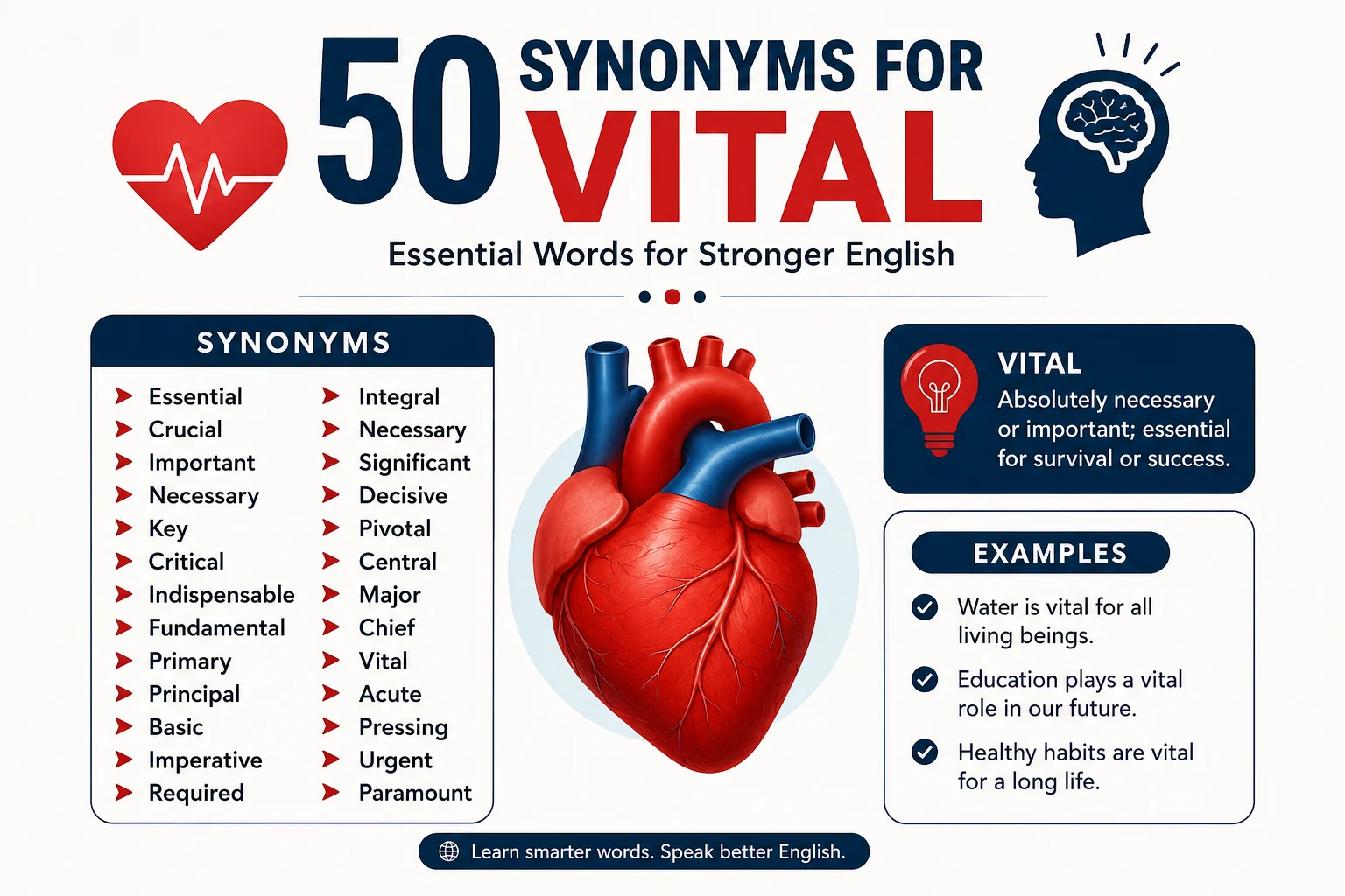 Synonyms for Vital