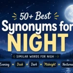 Synonyms for Night