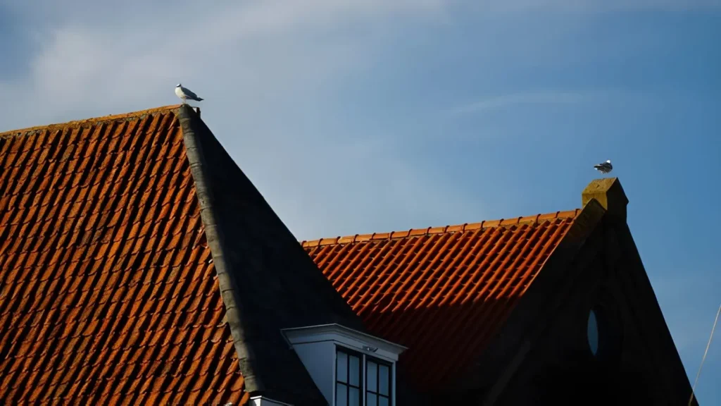 Top Strategies for Enhancing Roof Longevity
