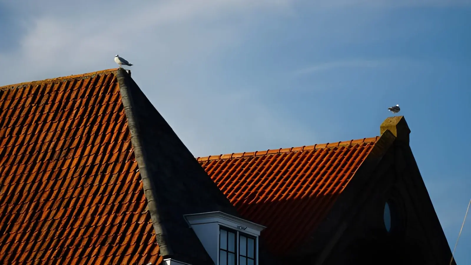 Top Strategies for Enhancing Roof Longevity