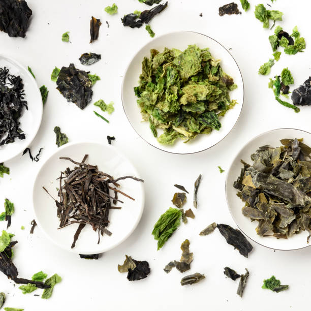 The 8 Best Natural Seaweed Skincare Brands in 2026, Compared